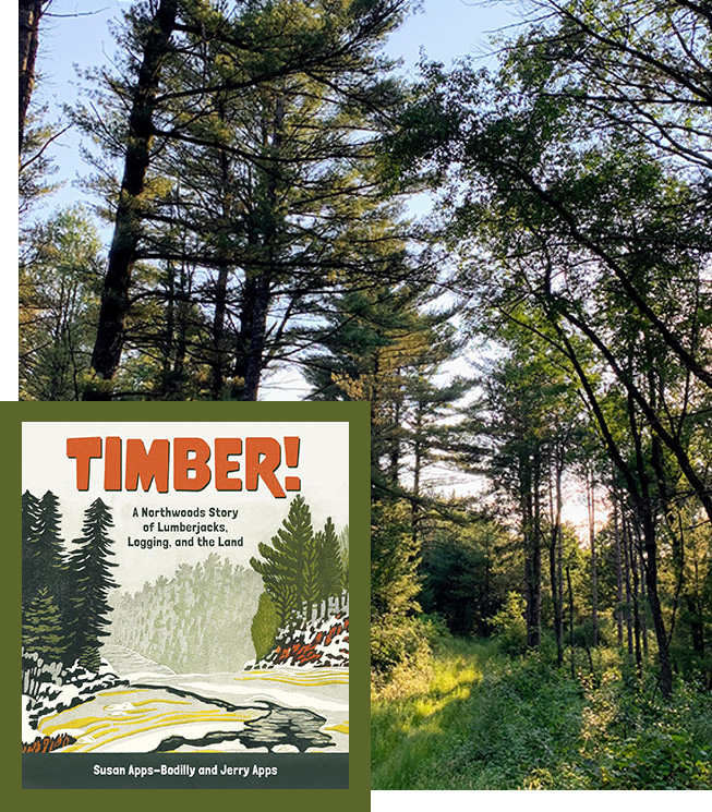 Timber A Northwoods Story of Lumberjacks, Logging, and the Land