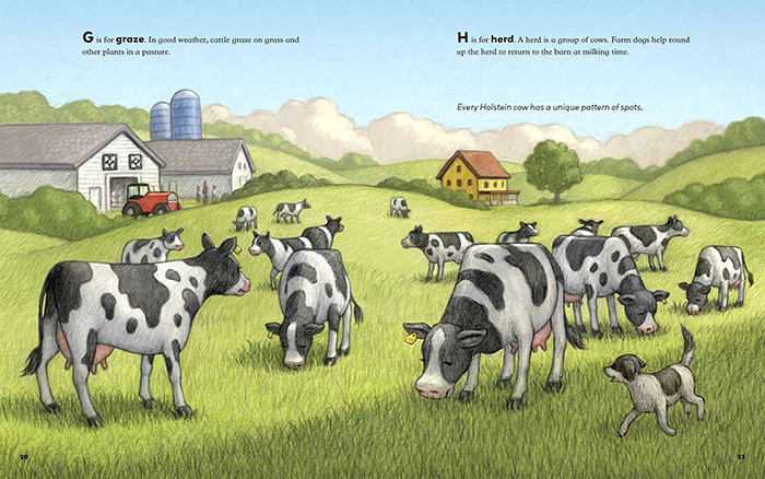 double-page spread about graze and herd for The ABCs of Wisconsin Cheese by Susan Apps-Bodilly and Renee Graef